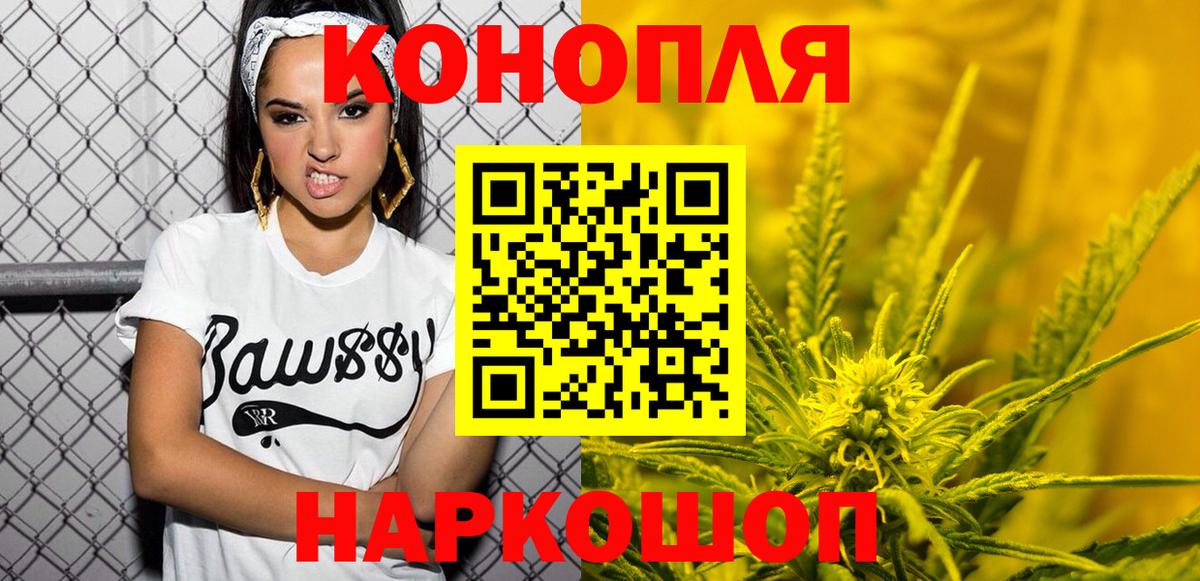 Бошки Шишки планчик Мичуринск